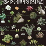 NHK出版　決定版　多肉植物図鑑 [ 小林 浩 ]